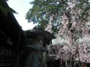 CIMG0338