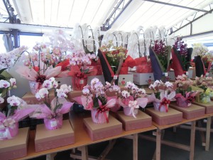 CIMG0813